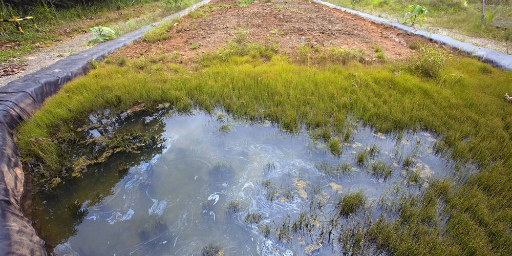 Soil Remediation and Soil Remediation Planning | Harbor Environmental