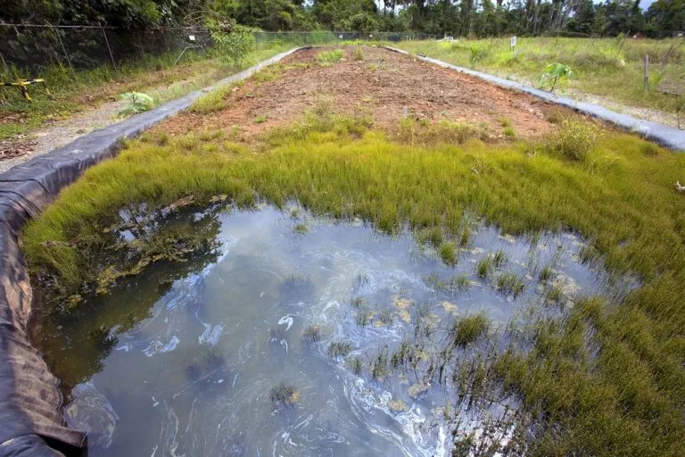 The Tragedy of Hazmat Soil Contamination | Harbor Environmental Group